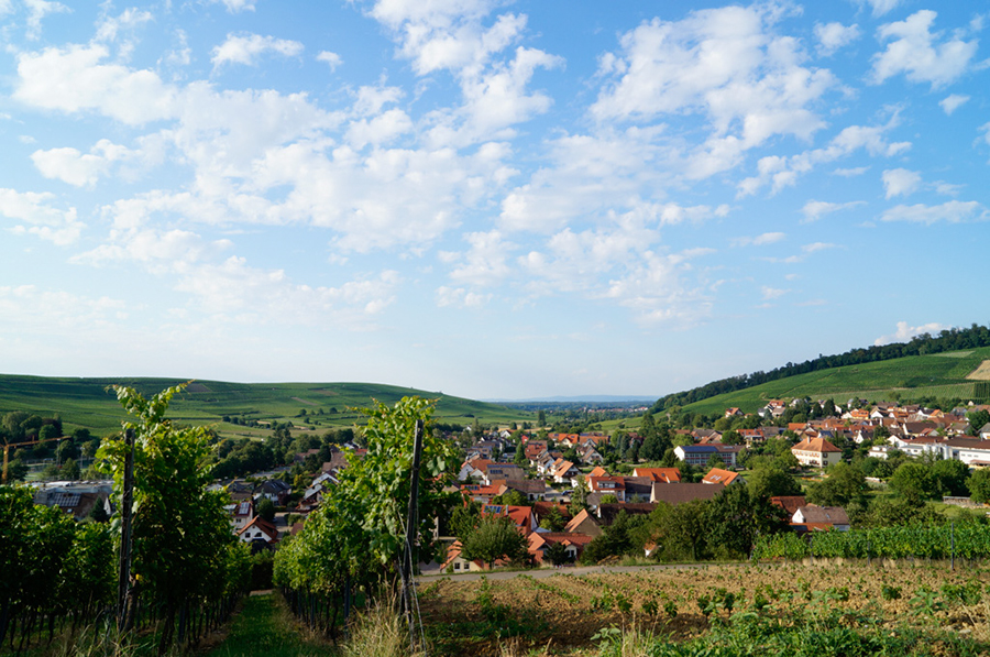 _DSC3547