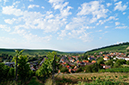 _DSC3547