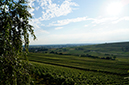 _DSC3567